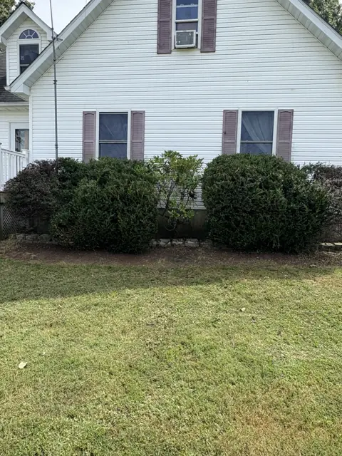 Neatly shaped shrubs after JB’s trimming work in front of a house