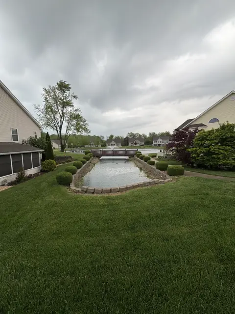 After trimming: shrubs shaped into clean, even hedges along the pond peninsula