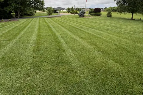 Fresh mowing stripes on a lawn maintained by JB’s Lawncare & Landscaping