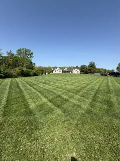 A sunny lawn with fresh mowing stripes leading toward the house